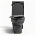 Toilette intelligente noire avec bidet intégré dimensions 70 x 40 x 40cm