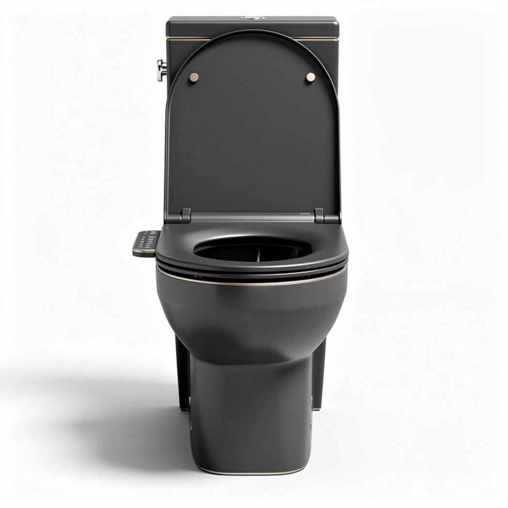 Toilette intelligente noire avec bidet intégré dimensions 70 x 40 x 40cm