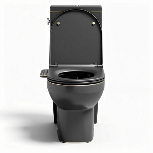 Toilette intelligente noire avec bidet intégré dimensions 70 x 40 x 40cm